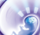 uploads/519c1b28057c-full.jpg 